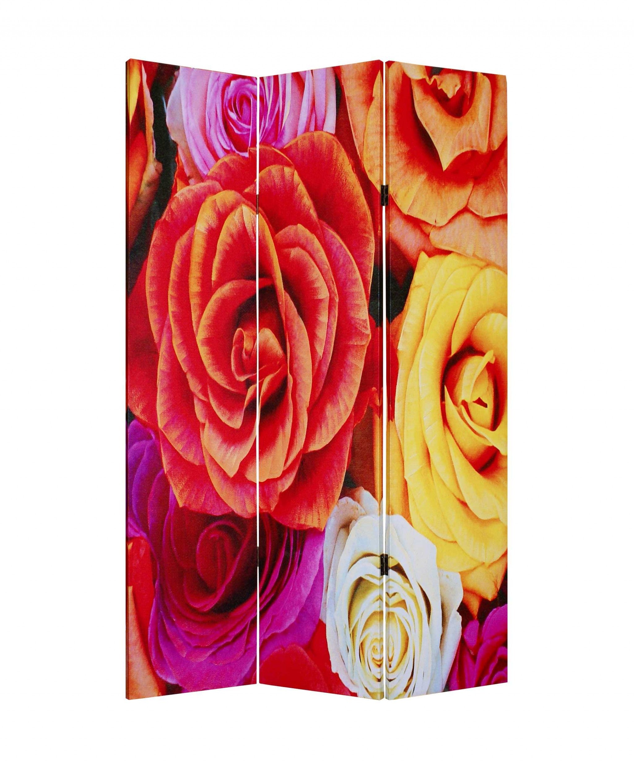 48 X 72 Multi Color Wood Canvas Daisy And Rose  Screen
