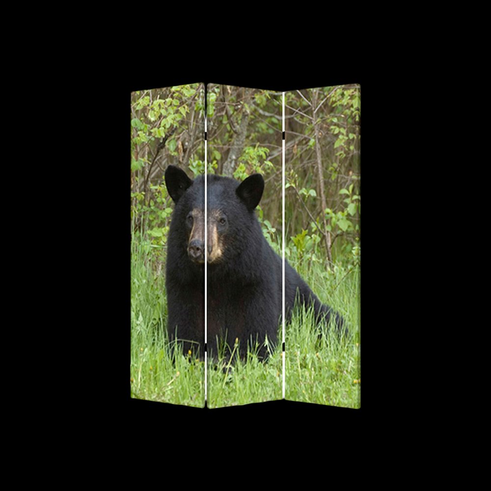 48" X 72" Multi Color Wood Canvas Bear Screen