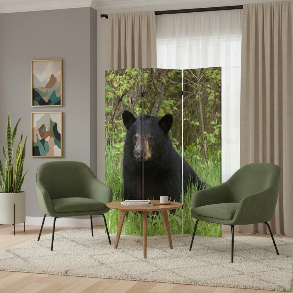 48" X 72" Multi Color Wood Canvas Bear Screen