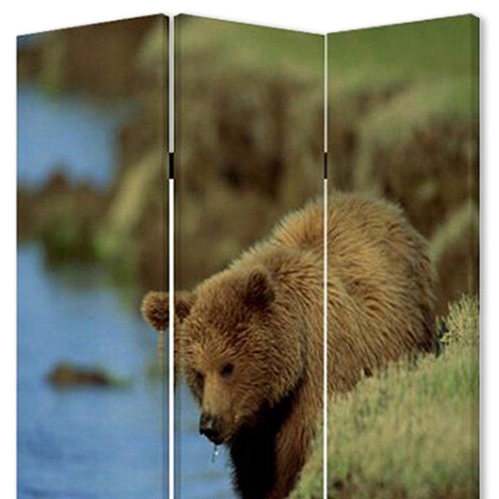 48" X 72" Multi Color Wood Canvas Bear Screen