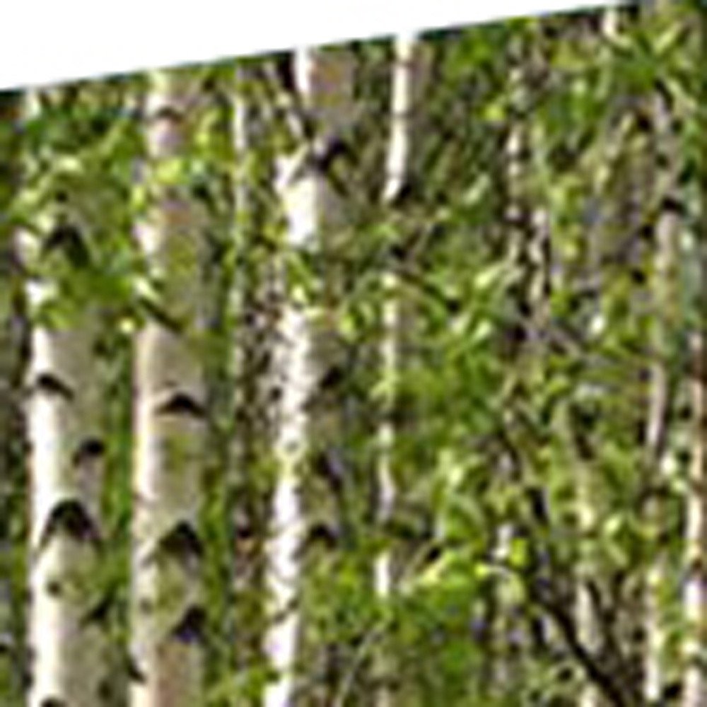 84" X 84" Multi Color Wood Canvas Prolific Forrest Screen