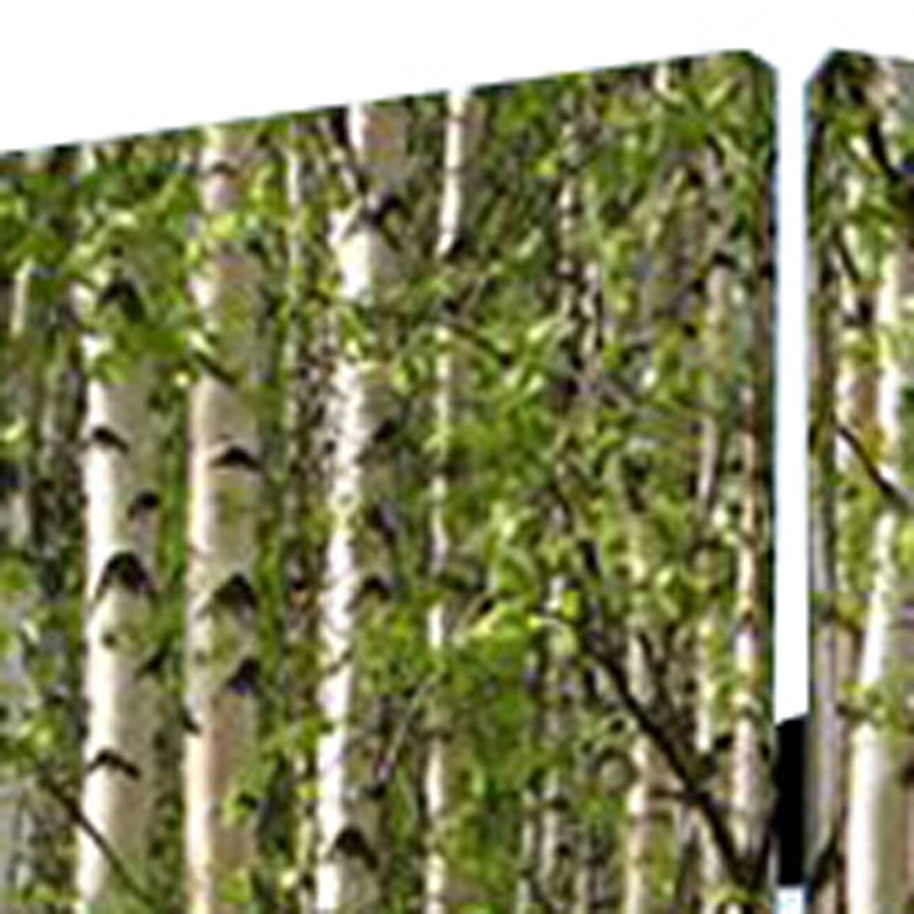 84" X 84" Multi Color Wood Canvas Prolific Forrest Screen