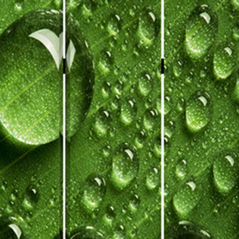 48" X 72" Multi Color Wood Canvas Rain Screen