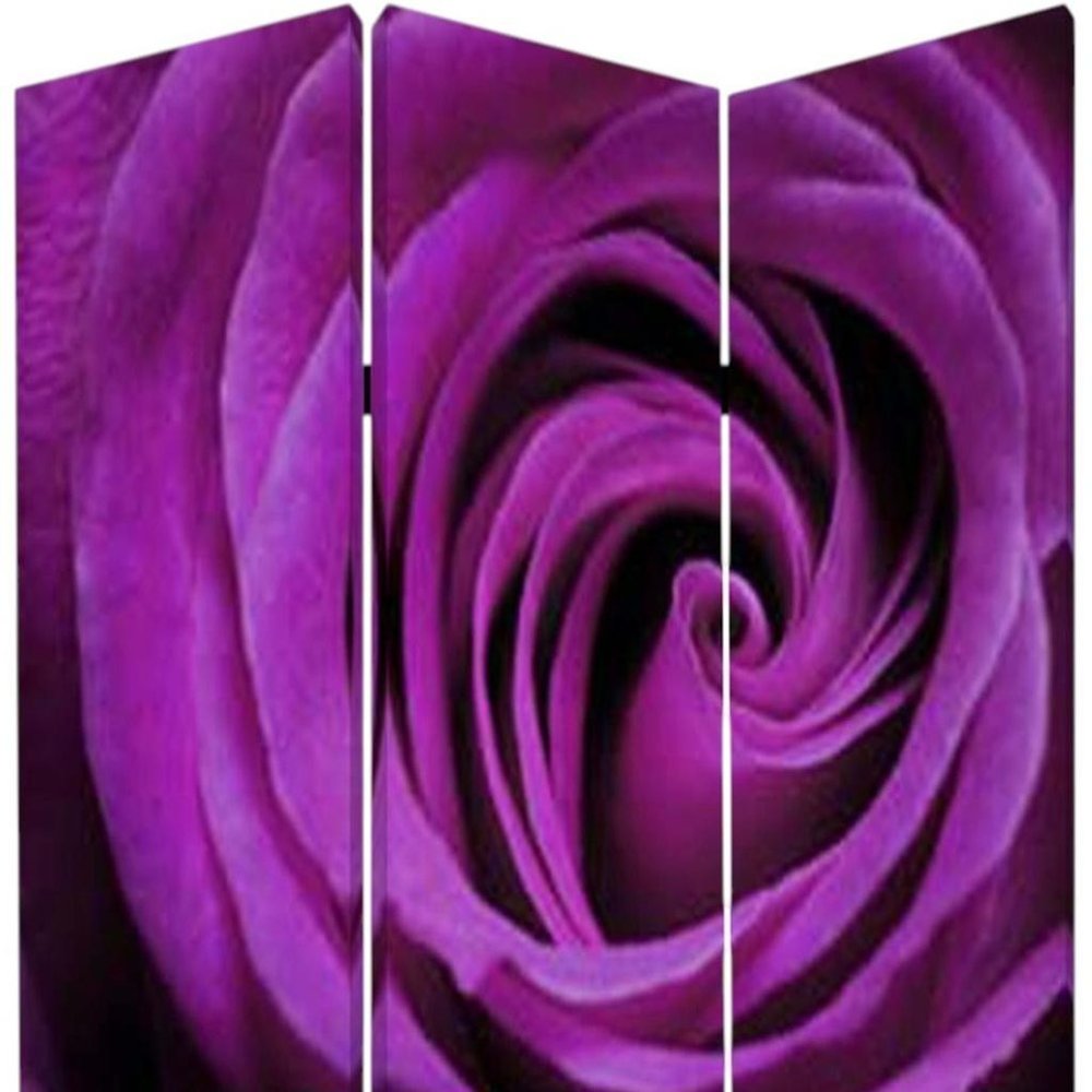 48 X 72 Multi Color Wood Canvas Flourish Screen