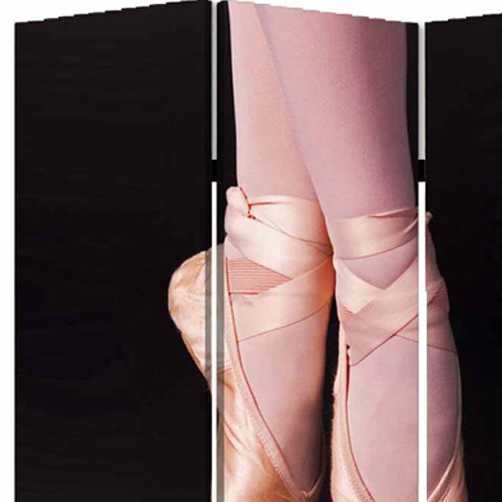 48" X 72" Multi Color Wood Canvas Ballet Screen