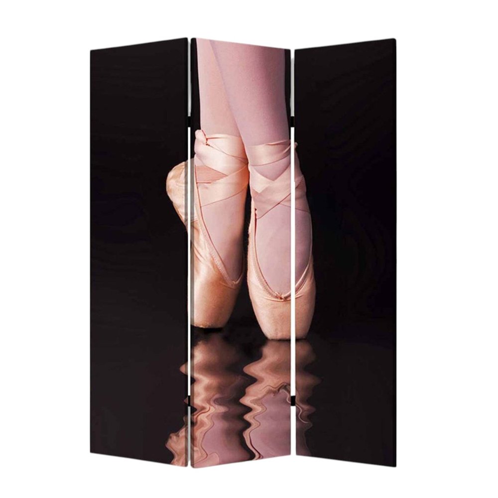 48" X 72" Multi Color Wood Canvas Ballet Screen
