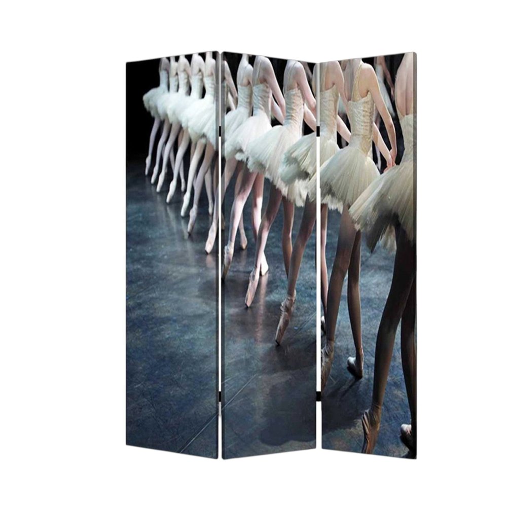 48" X 72" Multi Color Wood Canvas Ballet Screen
