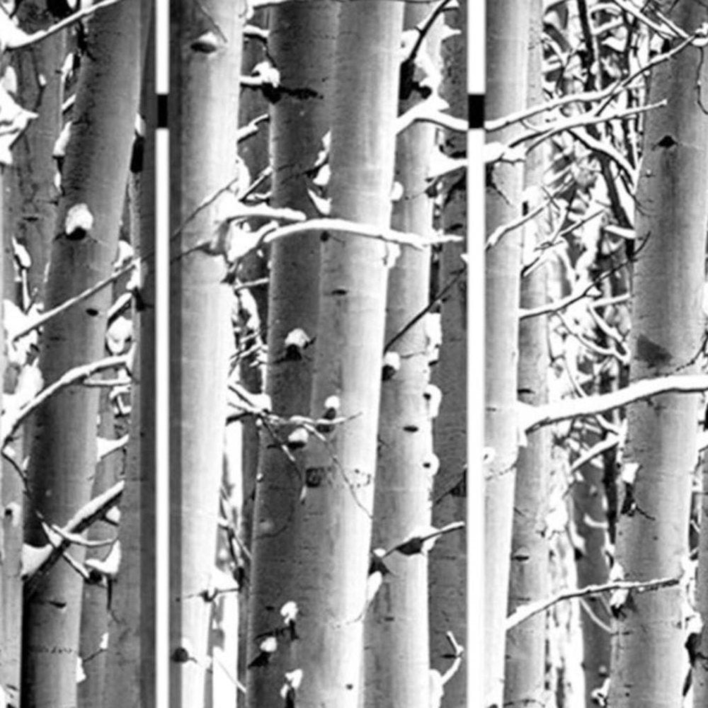 48" X 72" Gray And White Wood Canvas Birch Screen