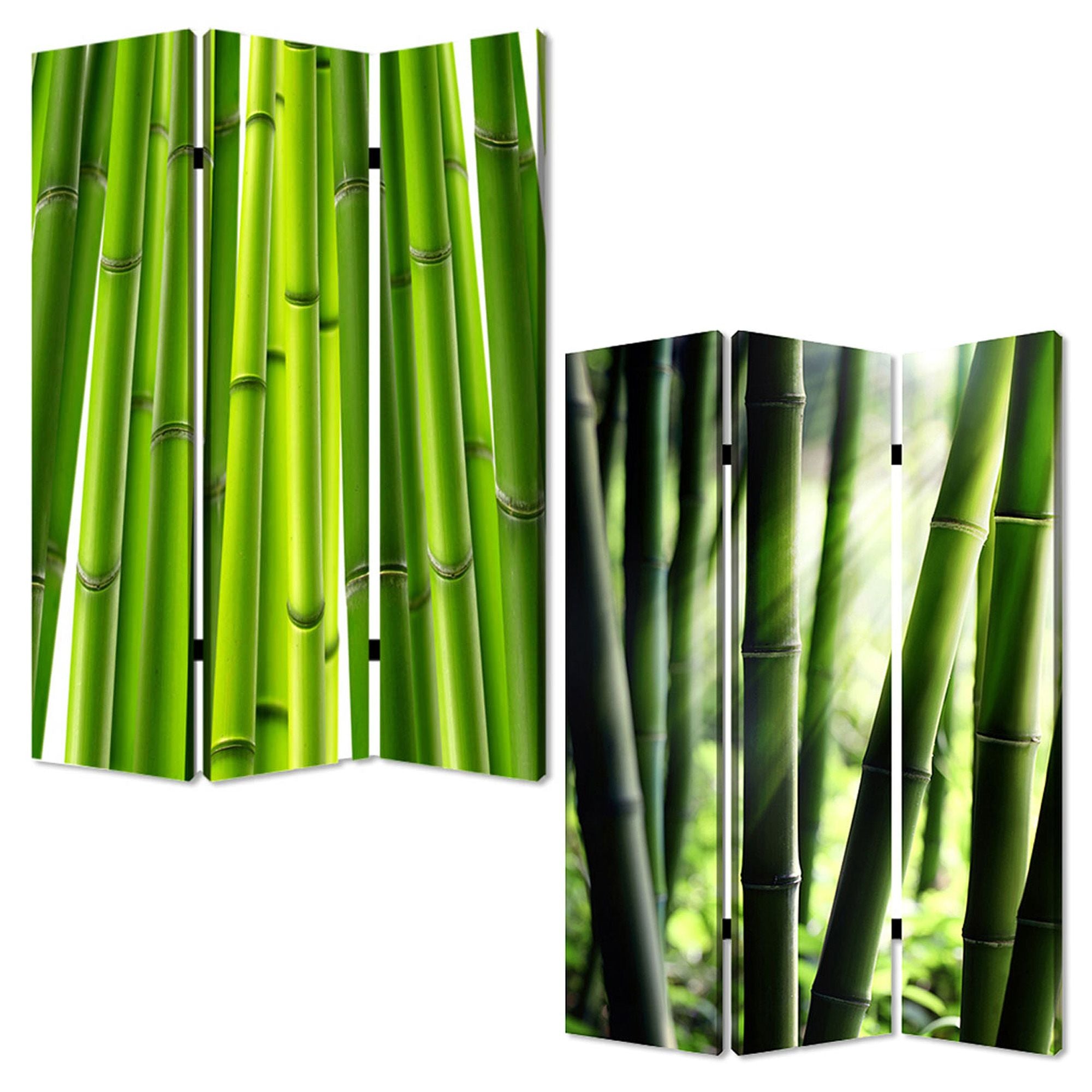 72" Green Canvas Folding Three Panel Screen Room Divider