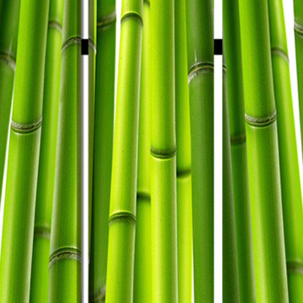 48" X 72" Multi Color Wood Canvas Bamboo Screen