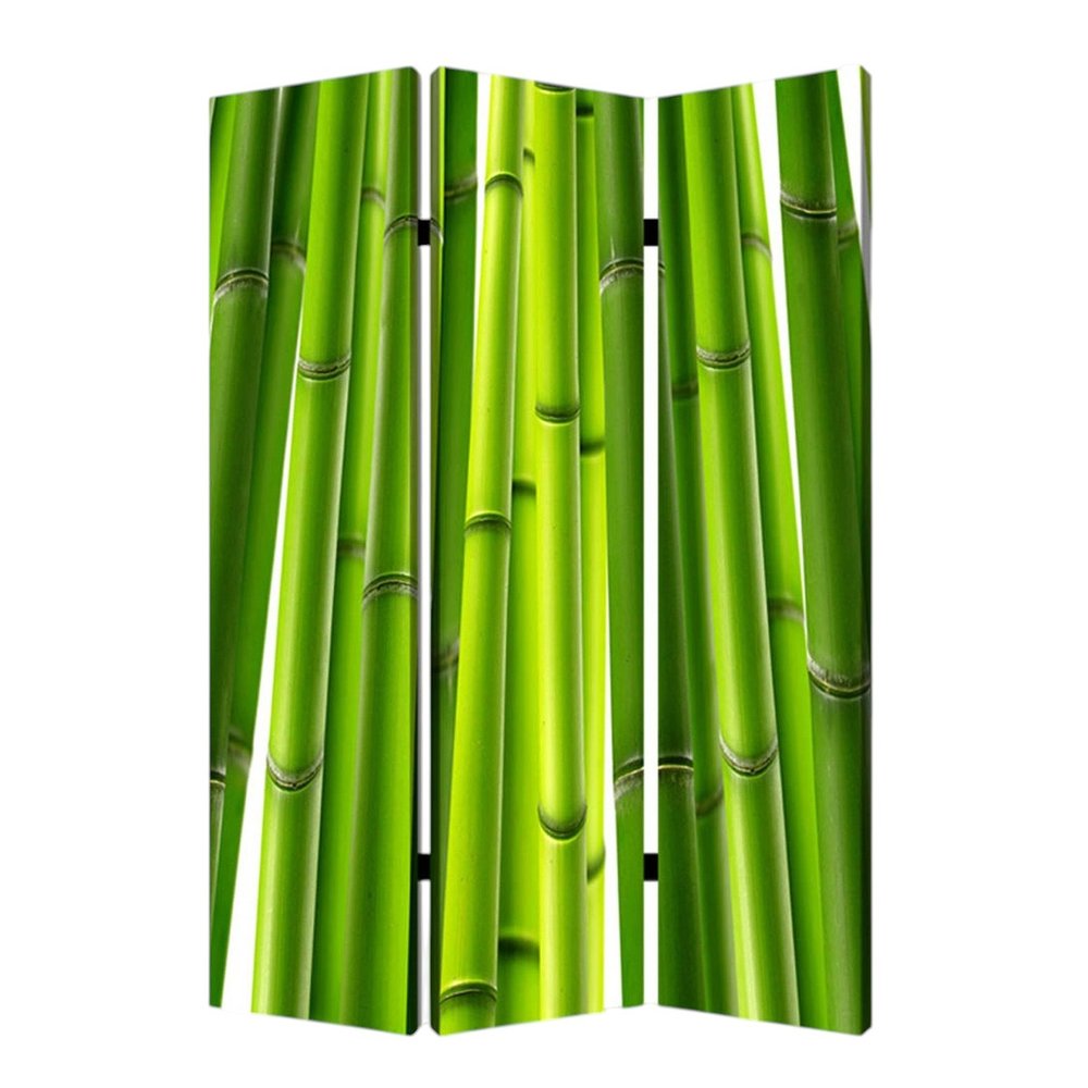 48" X 72" Multi Color Wood Canvas Bamboo Screen