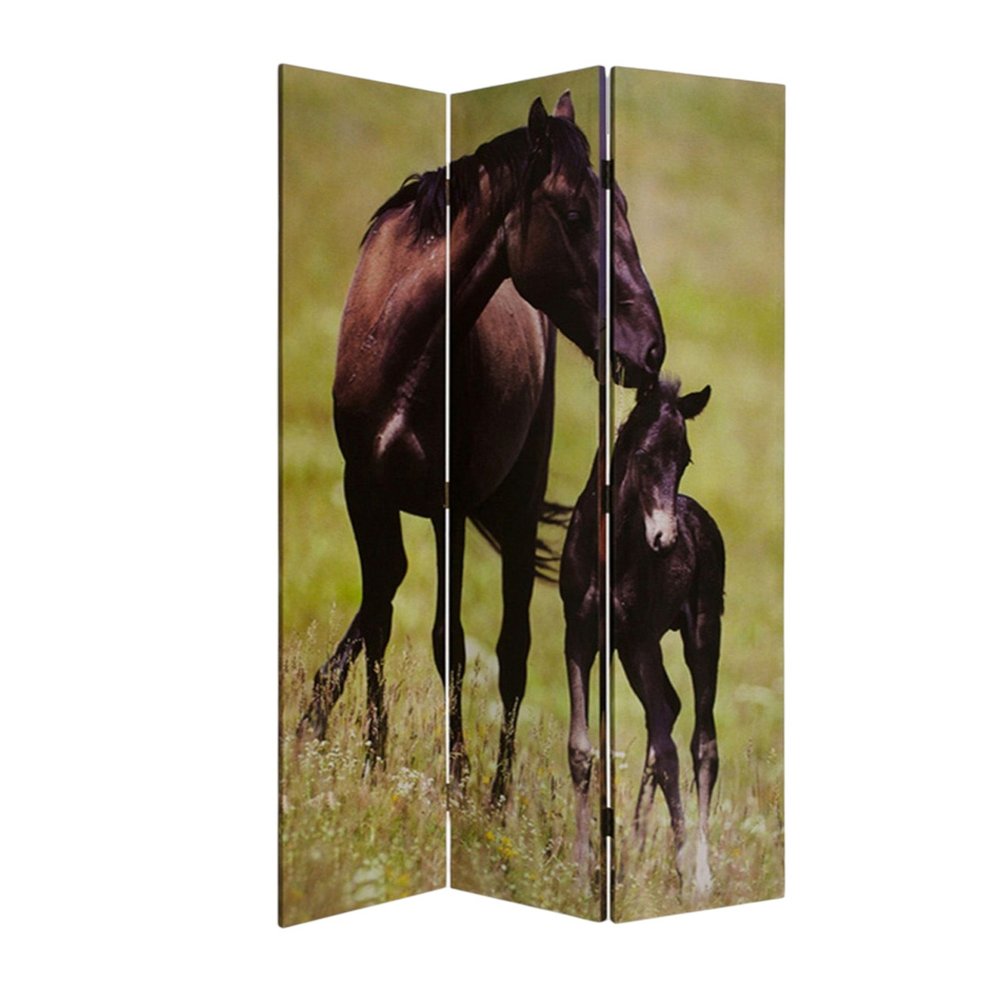 48" X 72" Multi Color Canvas Screen With Nurturing Mare