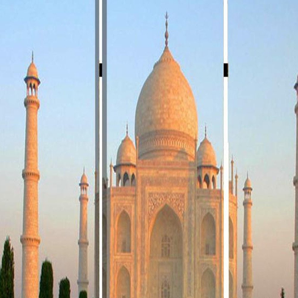 48" X 72" Multi Color Wood Canvas Taj Mahal Screen