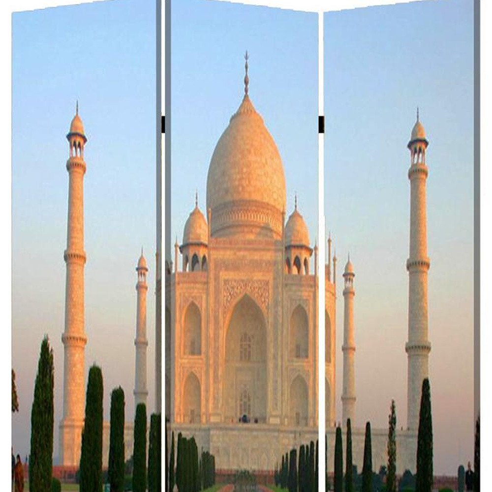 48" X 72" Multi Color Wood Canvas Taj Mahal Screen