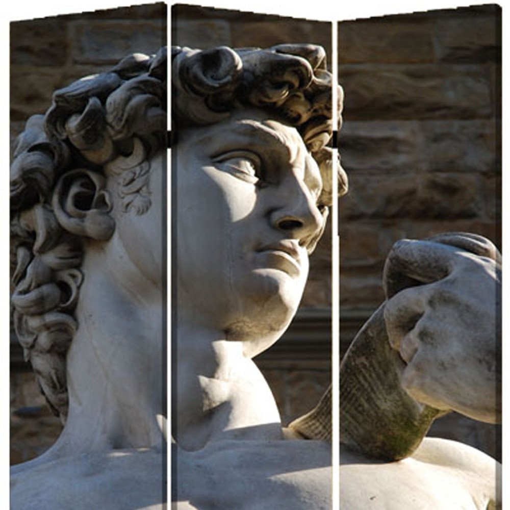 48" X 72" Multi Color Wood Canvas Rome Screen