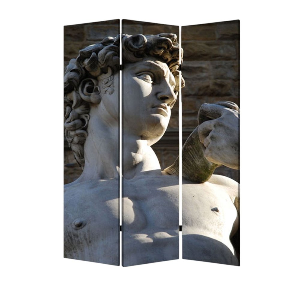 48" X 72" Multi Color Wood Canvas Rome Screen