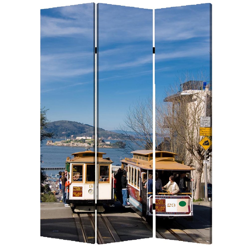 48" X 72" Multi Color Wood Canvas San Francisco Screen