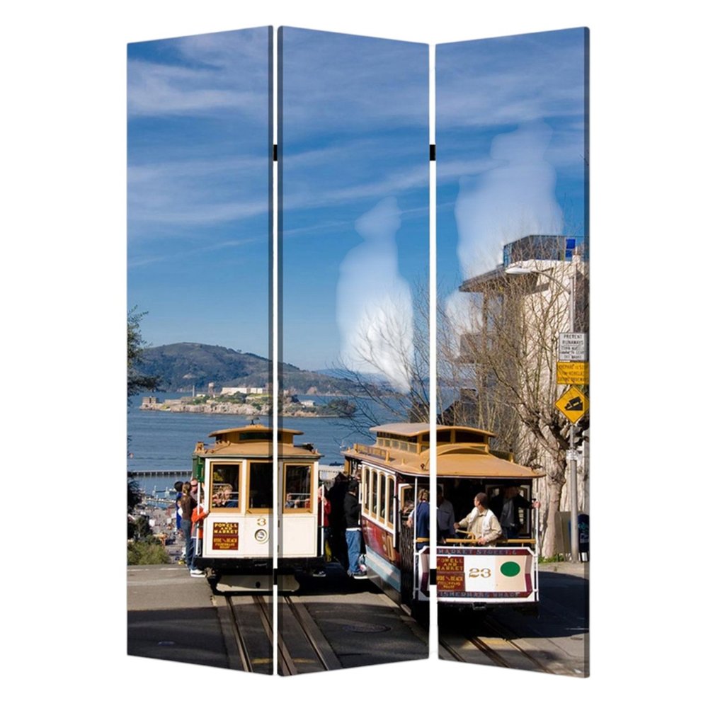 48" X 72" Multi Color Wood Canvas San Francisco Screen