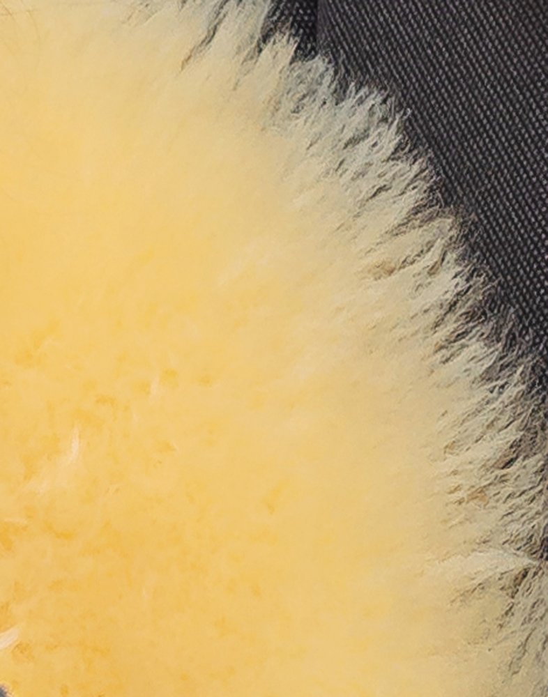 2' X 3' Cream Genuine Sheepskin Animal Print Shag Area Rug