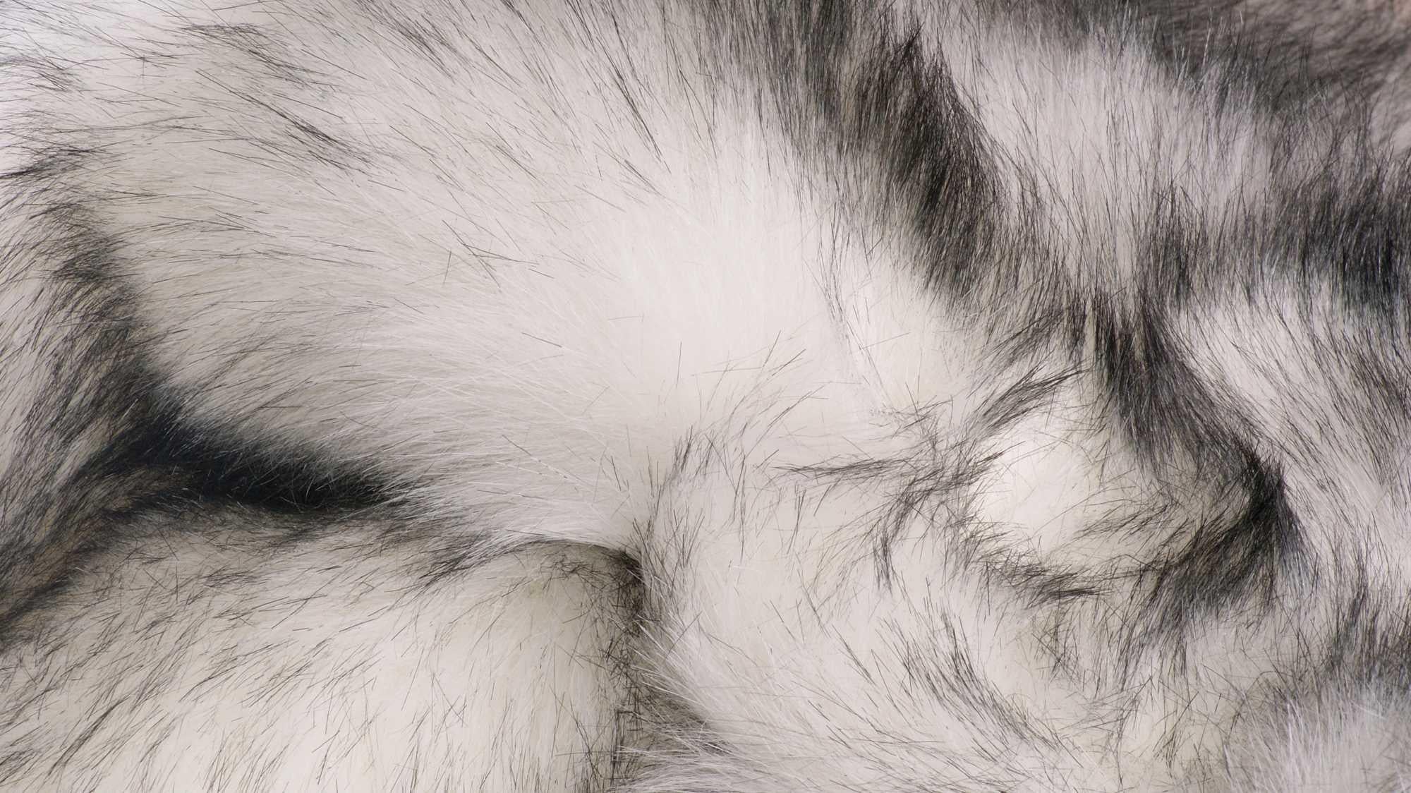 2' X 3' Gray And Ivory Faux Fur Area Rug