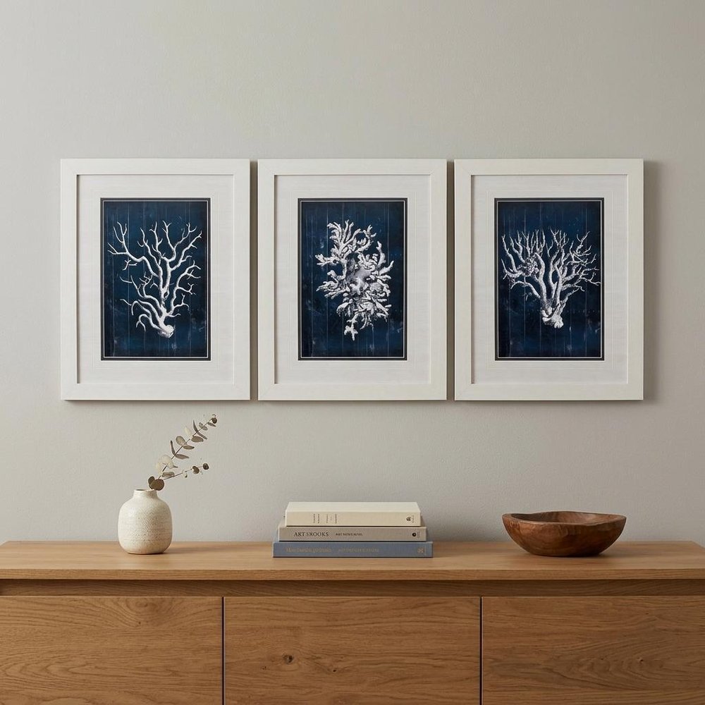21" X 27" White Frame Wood Coral Blue (Set Of 3)
