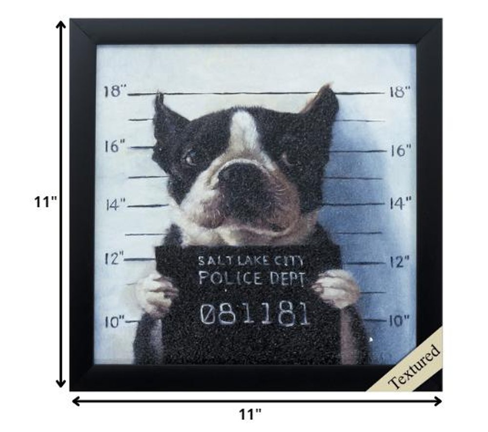 11" X 11" Black Frame Mug Shot
