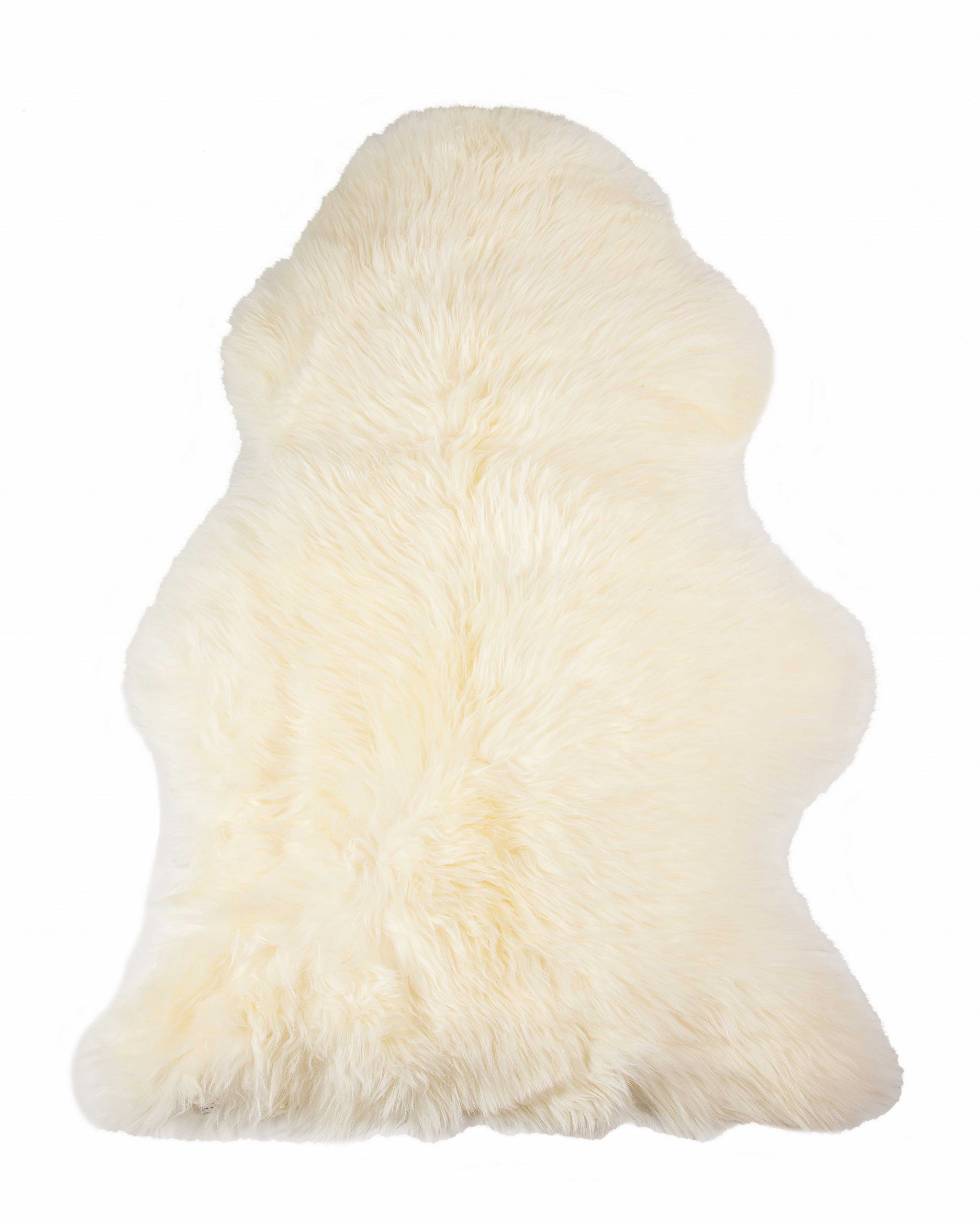 2' X 3' Ivory Shag Area Rug