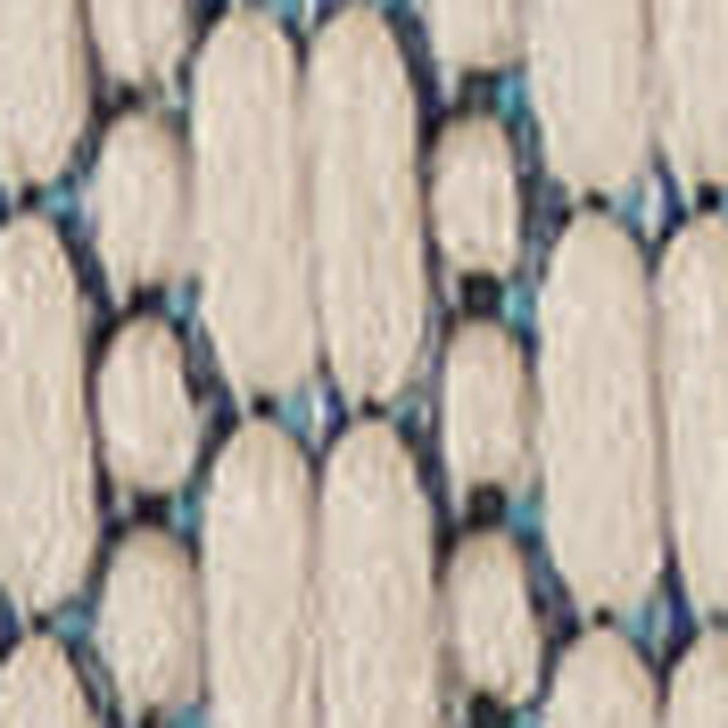 10' Ivory And Blue Indoor Outdoor Area Rug