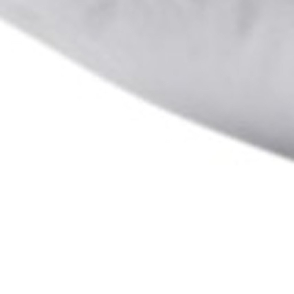 Set of Two Down Alternative Firm King Size Bed Pillows