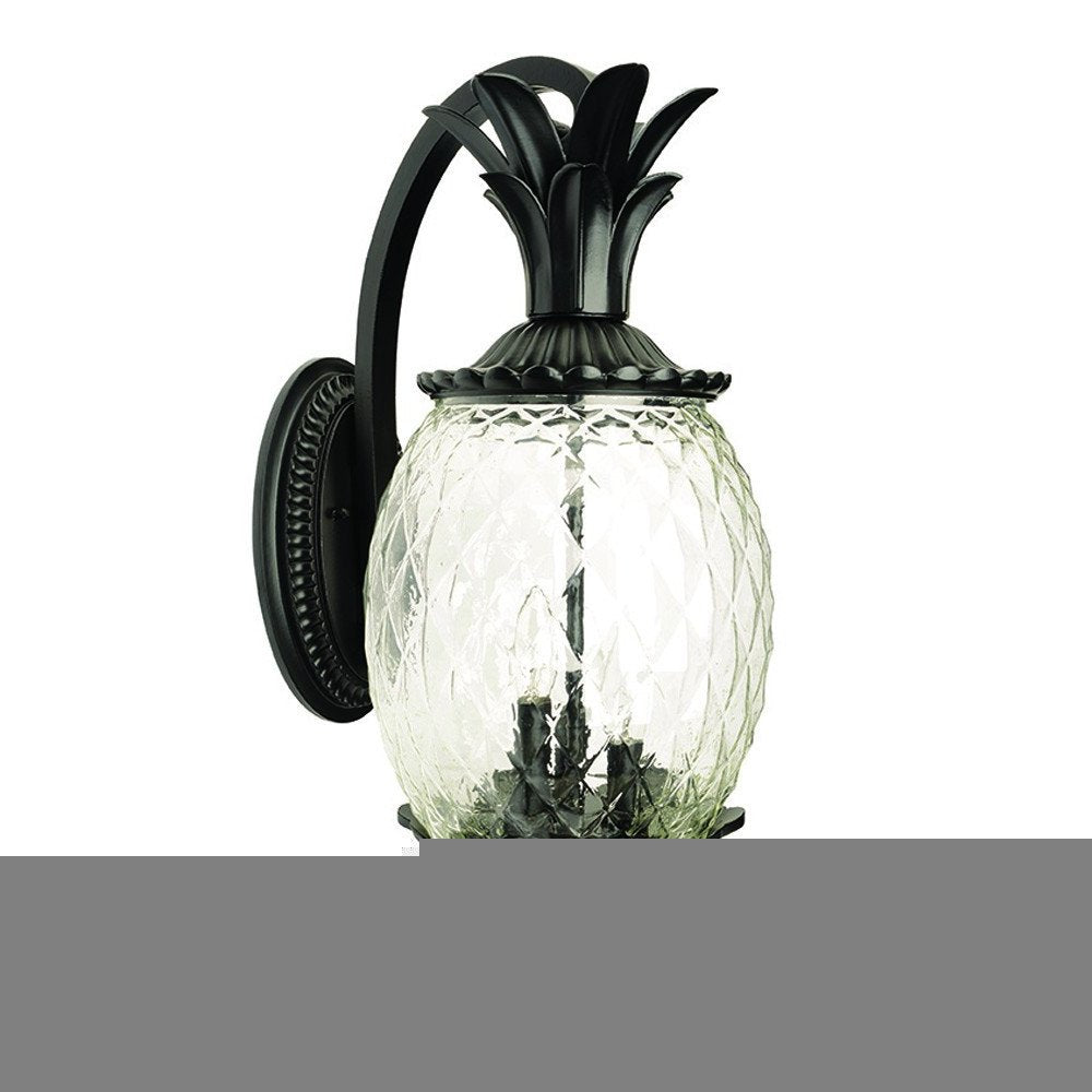 Matte Black Hanging Pineapple Wall Light