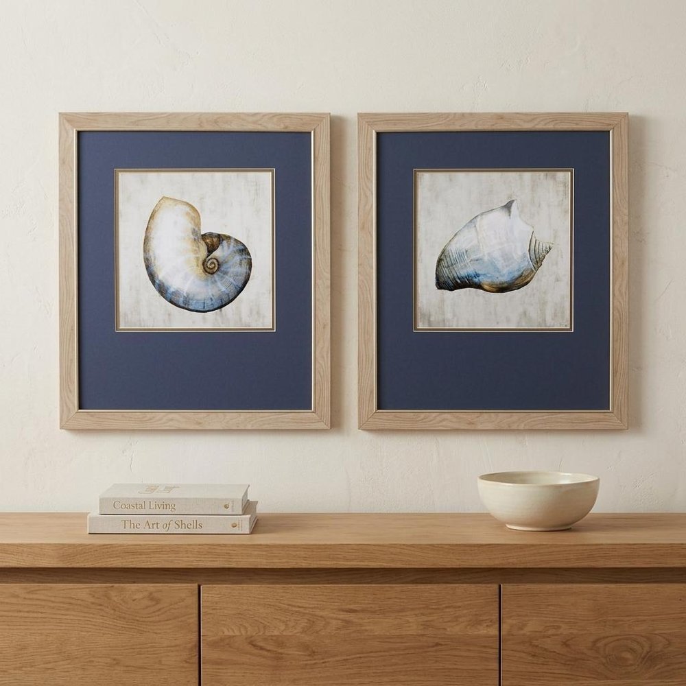 Set of Two Ocean Seashells Wall Art