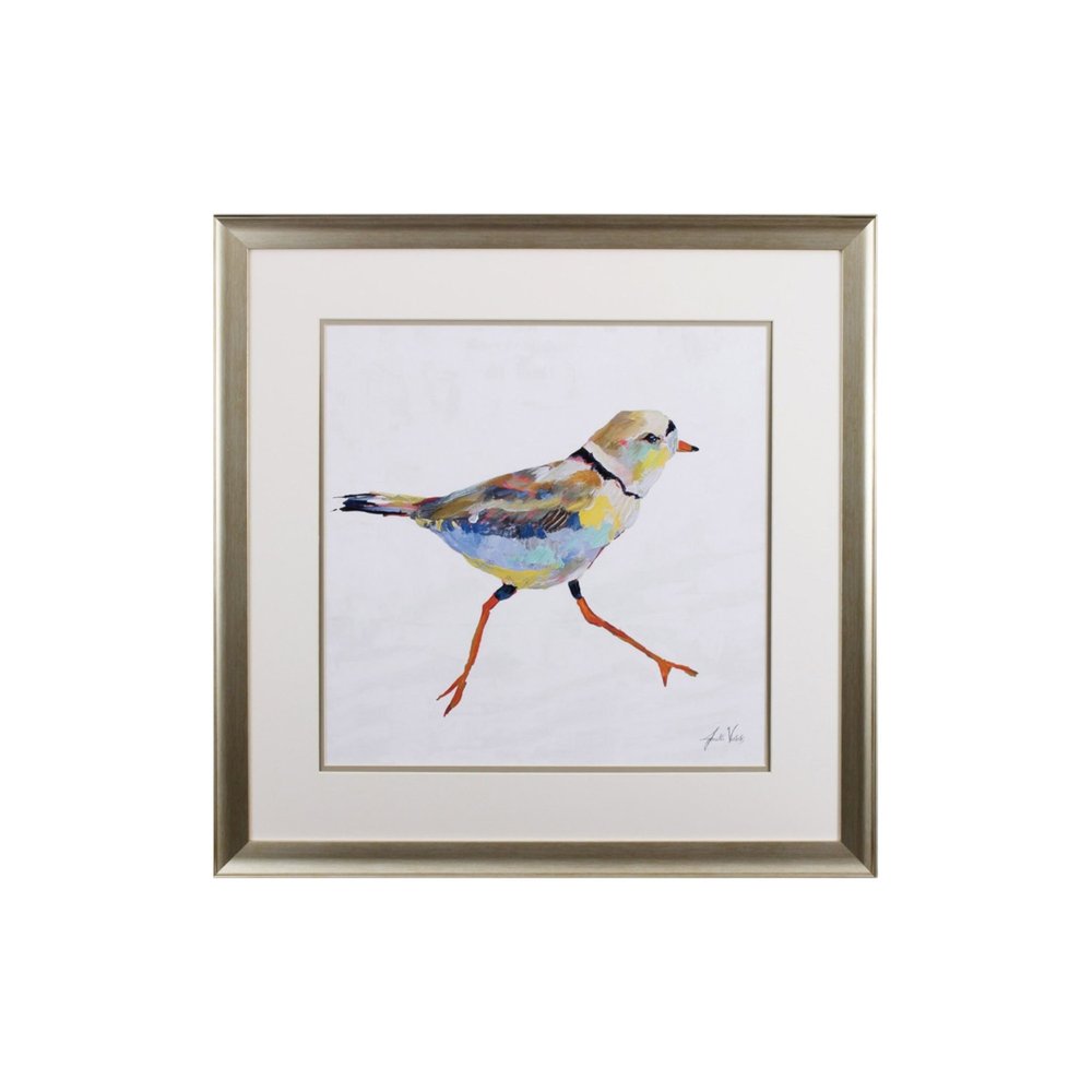 Set of Two Colorful Beach Birds Wall Art
