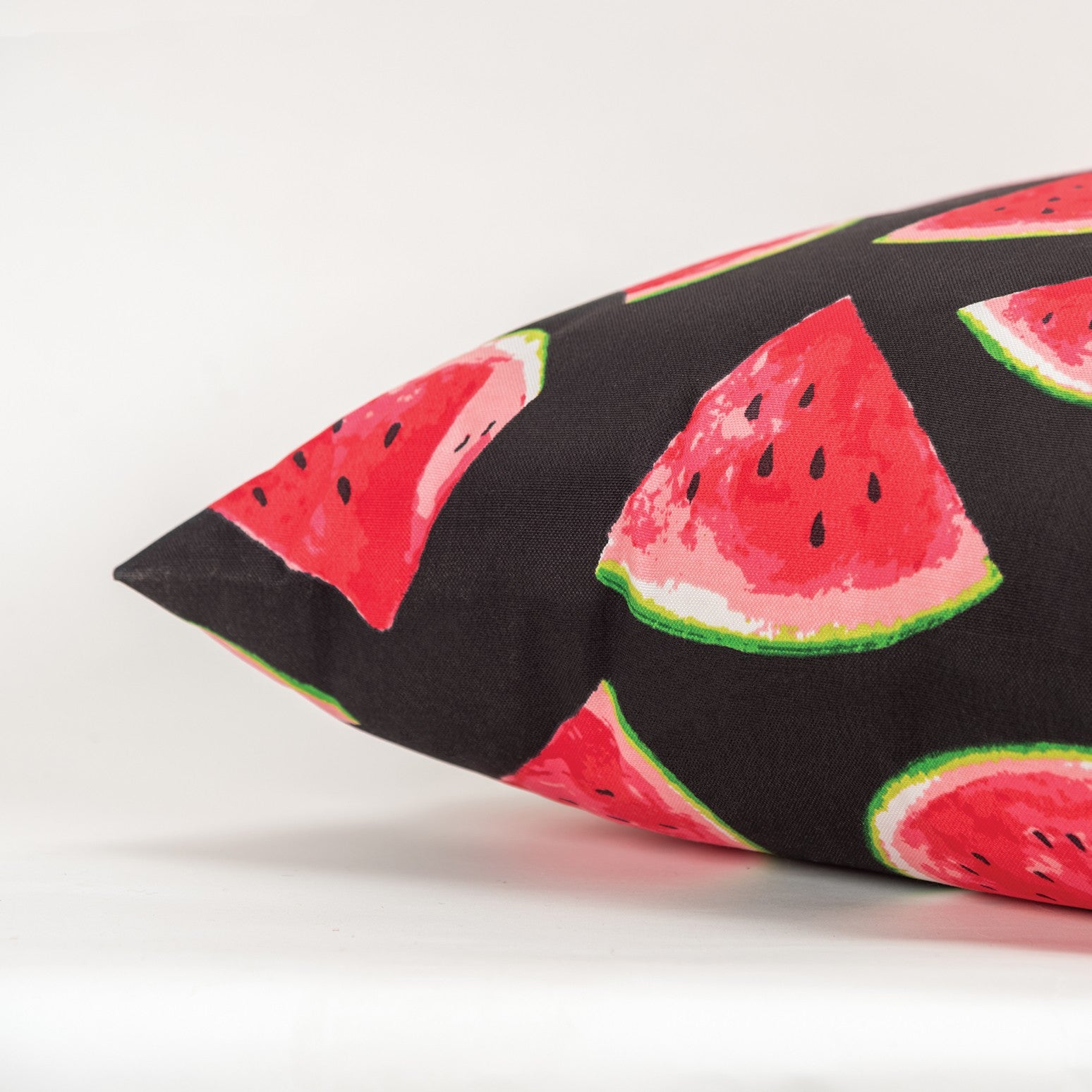 22" Black And Red Watermelon Indoor Outdoor Throw Pillow