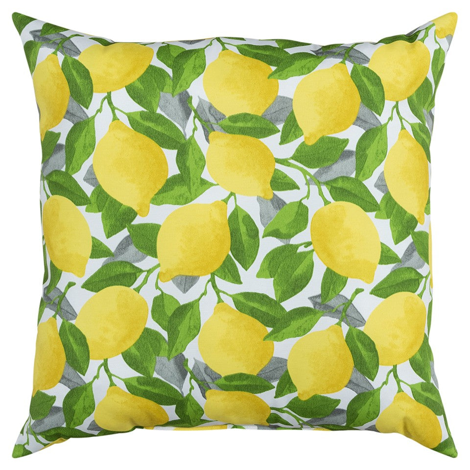 Set of Two 22" X 22" Yellow Indoor Outdoor Throw Pillow Cover & Insert