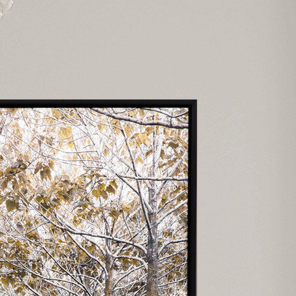 White Gold Canvas Black Floater Frame Print Wall Art