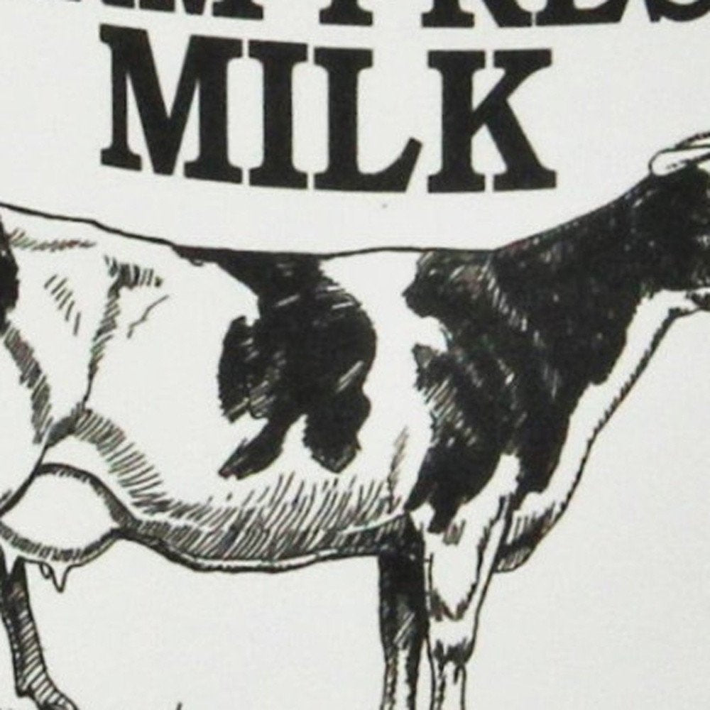 8" Black And White Metal Jug Vase