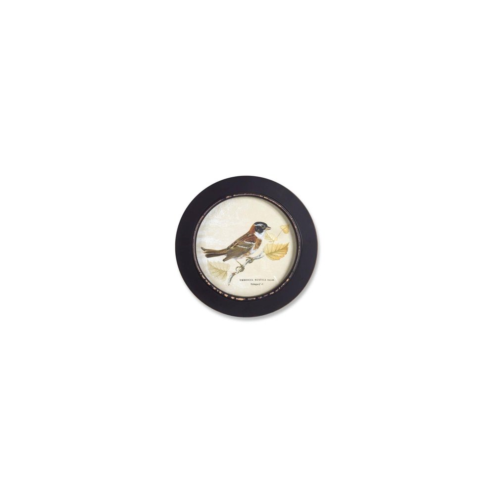 Set of Three Black Bird Circle Framed Art