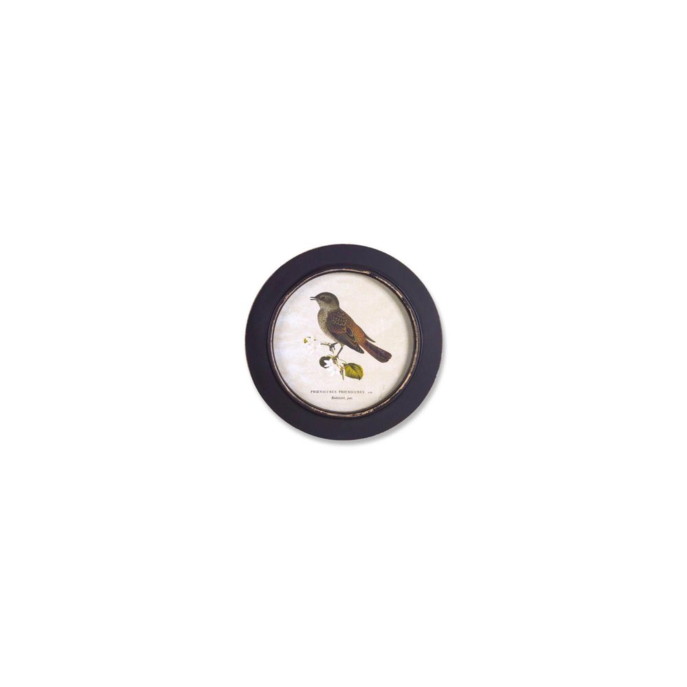 Set of Three Black Bird Circle Framed Art