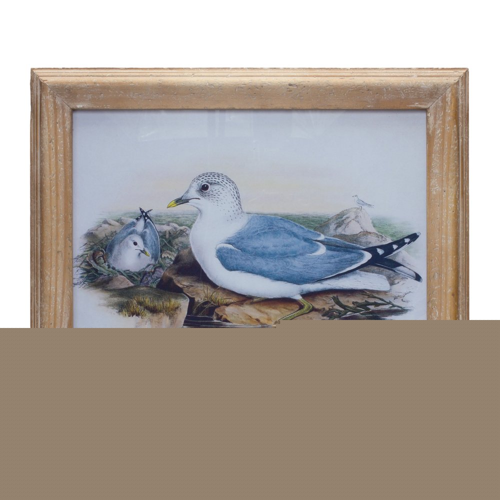13" X 17" Natural And Blue Bird Solid Wood Framed Art