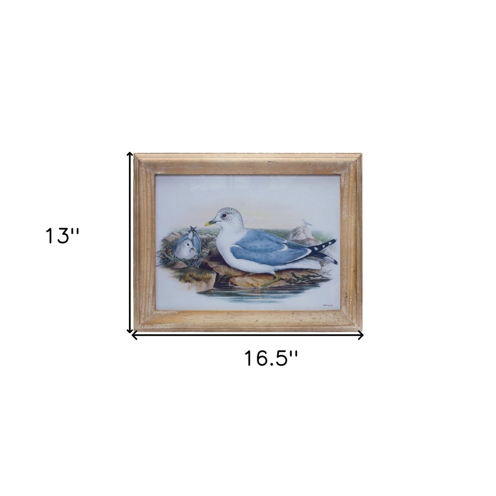 13" X 17" Natural And Blue Bird Solid Wood Framed Art