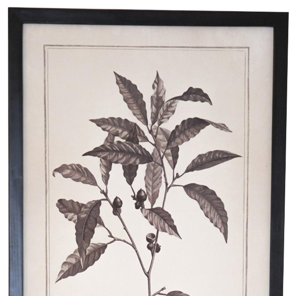 Set of Two Black And White Flower Framed Art