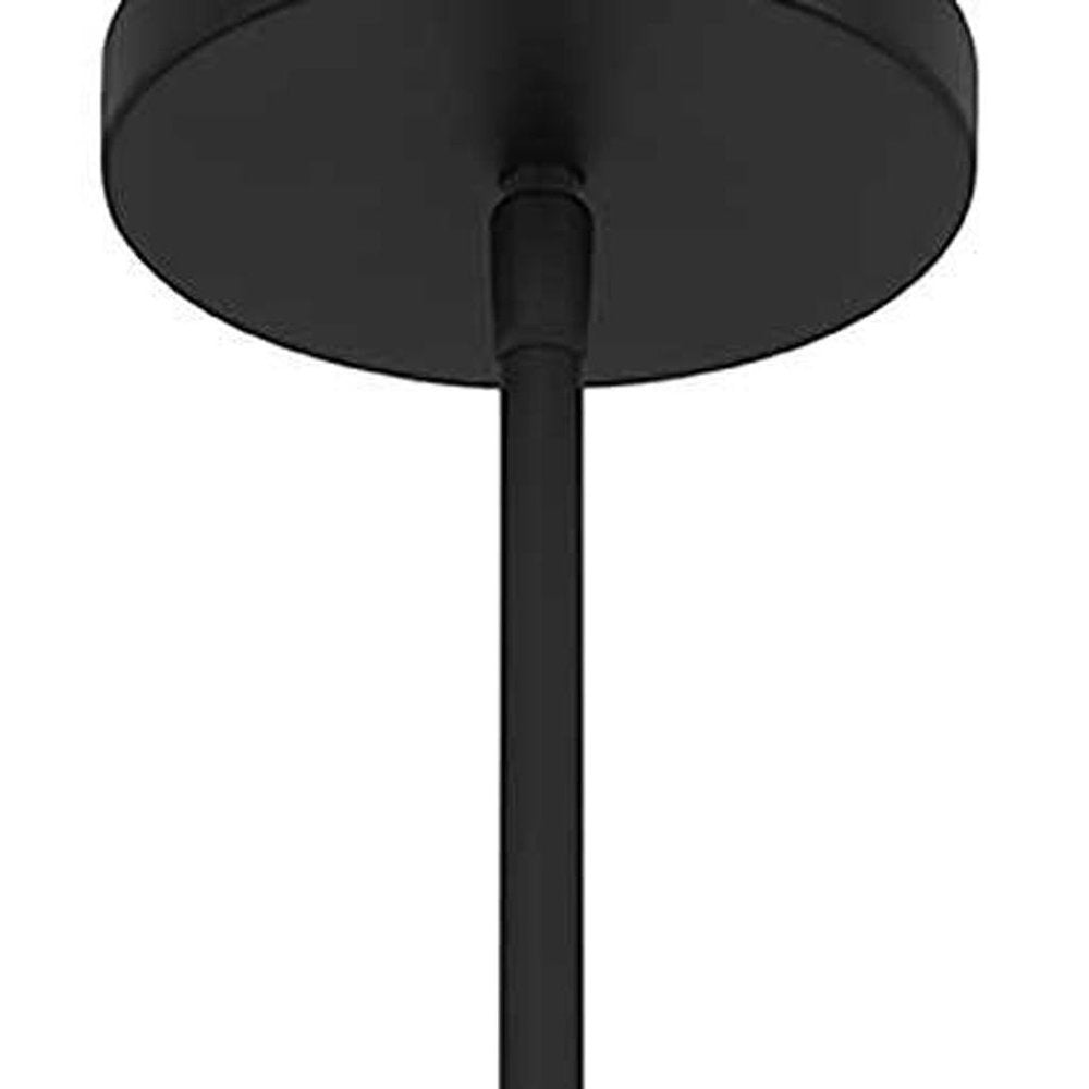 10" Black And White Frosted LED Dimmable Outdoor Globe Hanging Light