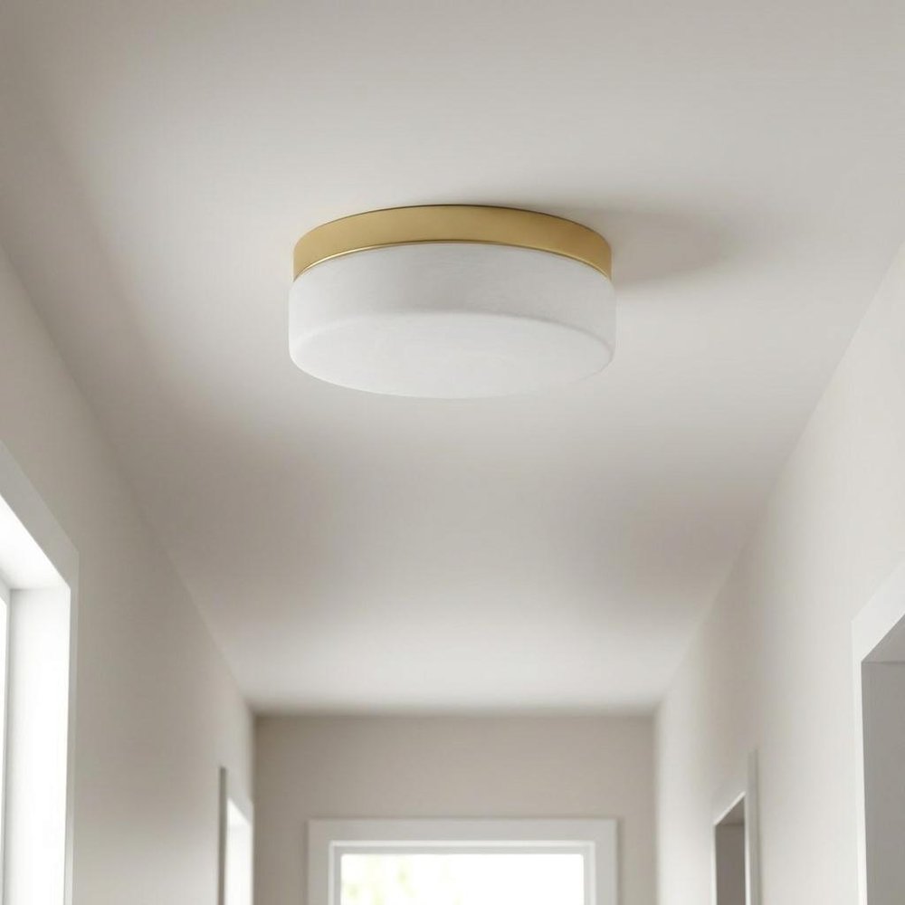 11" Black Metal And Frosted Glass Flush Mount Ceiling Light