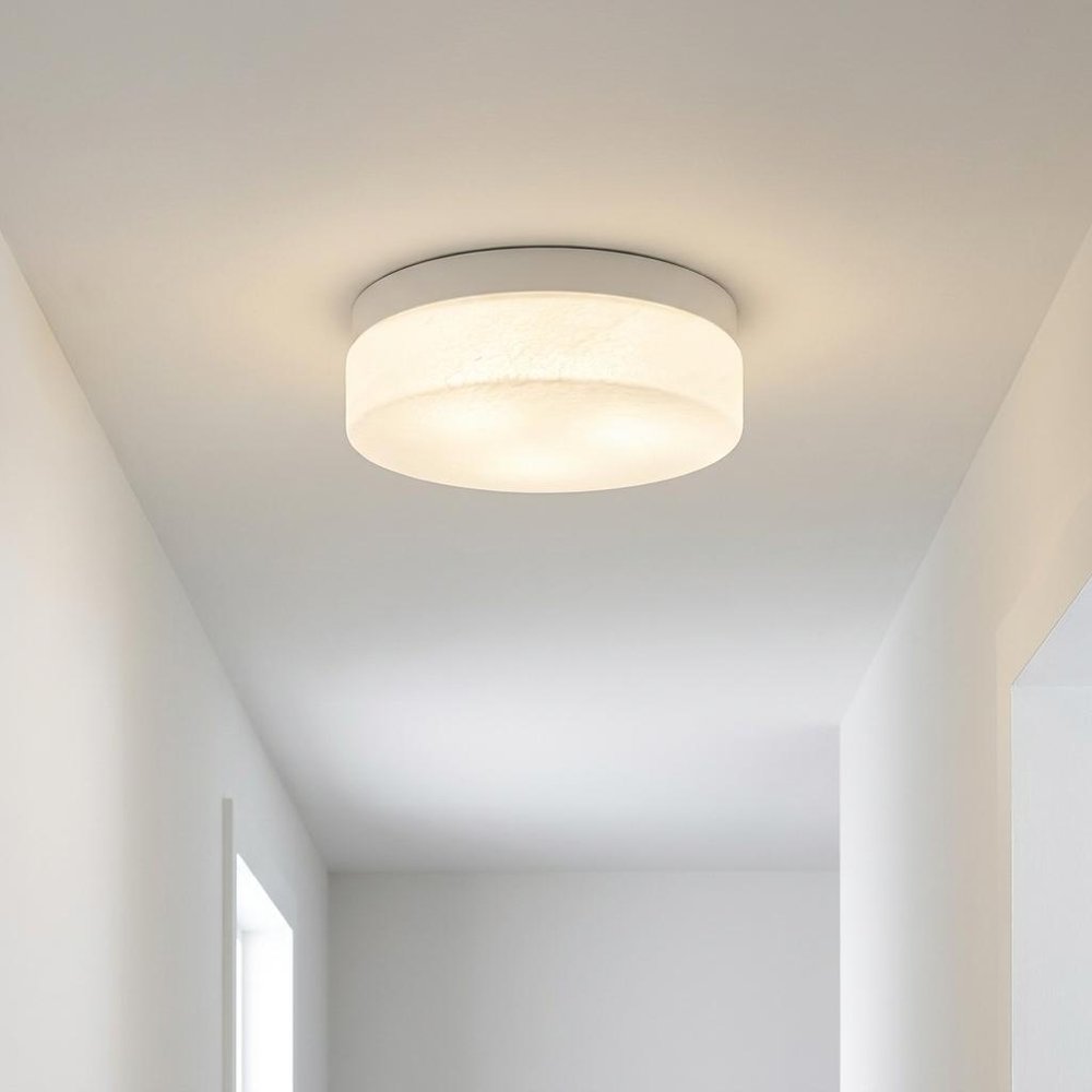 11" Black Metal And Frosted Glass Flush Mount Ceiling Light