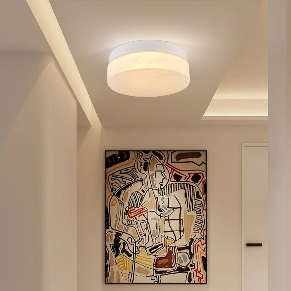11" Black Metal And Frosted Glass Flush Mount Ceiling Light