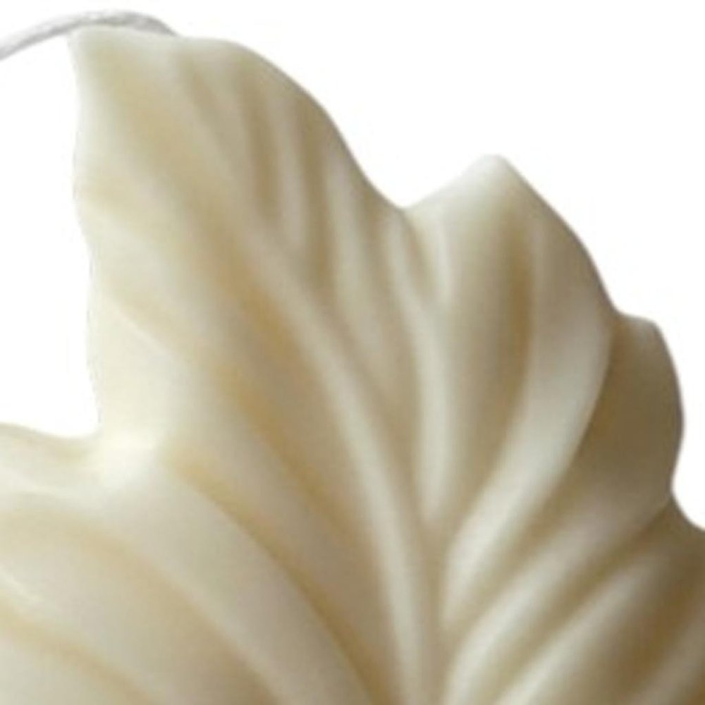 6" Ivory Black Ice Scented Dimensional Feather Candle Novelty Novelty
