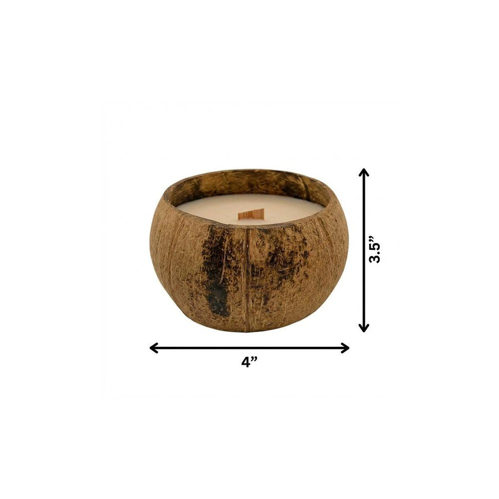 4" Ivory Orchid And Sea Salt Scented Candle In Brown Coconut Shell Holder