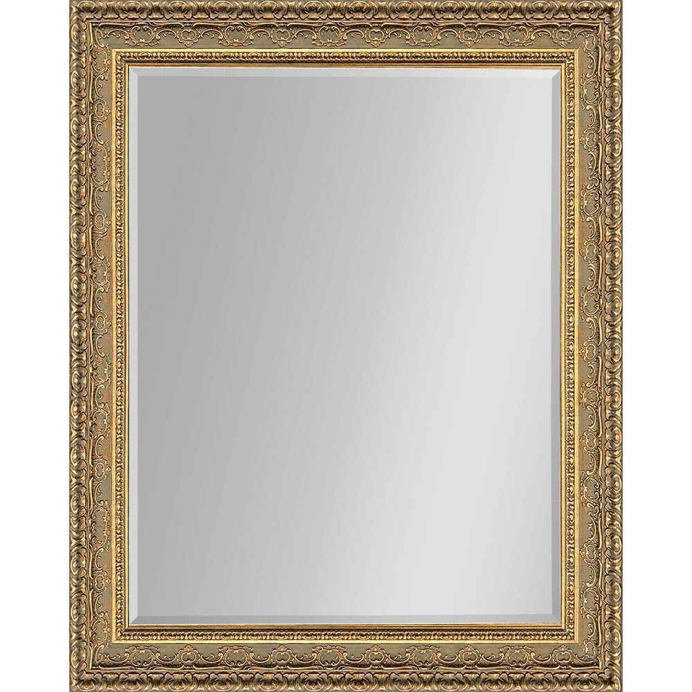 56" Gold Ornate Framed Accent Mirror