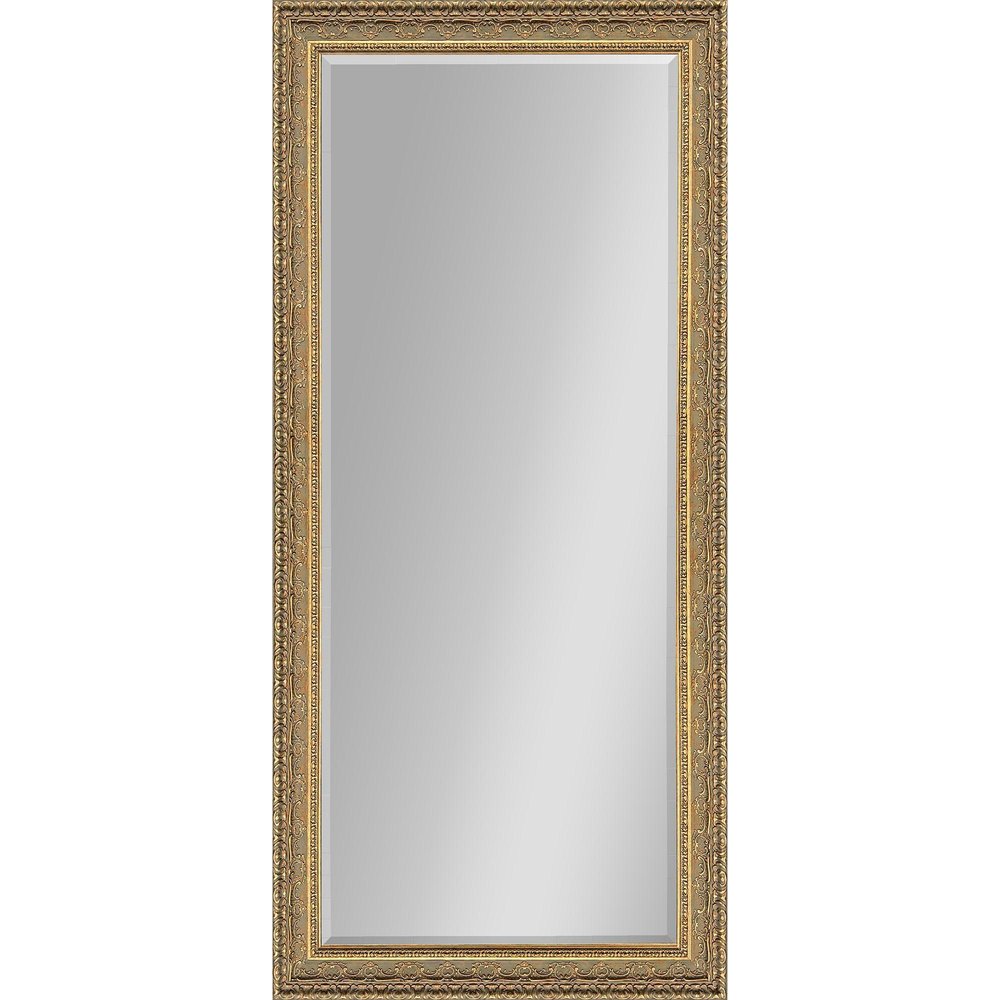 80" Gold Ornate Framed Accent Mirror