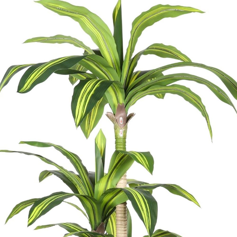 60" Green Artificial Dracaena Tree In Round Black Pot